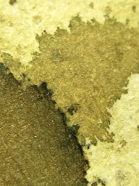 オリーブ 古木 old olive 細川正己 invisible ink srl Ink Review: Antigua's Olive fountain pen ink — Inky Inspirations